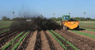 spreading compost